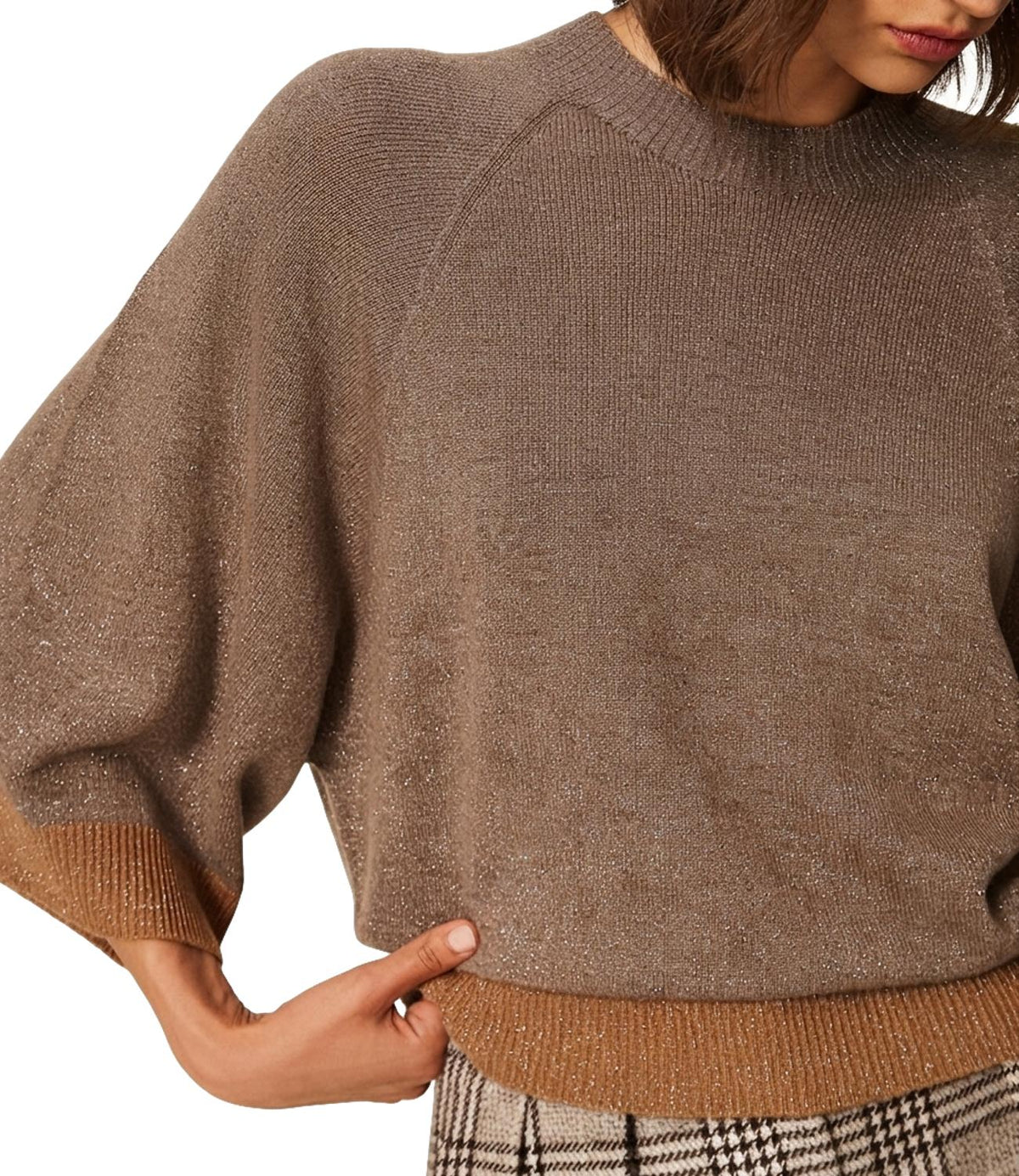 Twin Set Maglia Taupe Arg/tobacco Brown Sc Arg da Donna